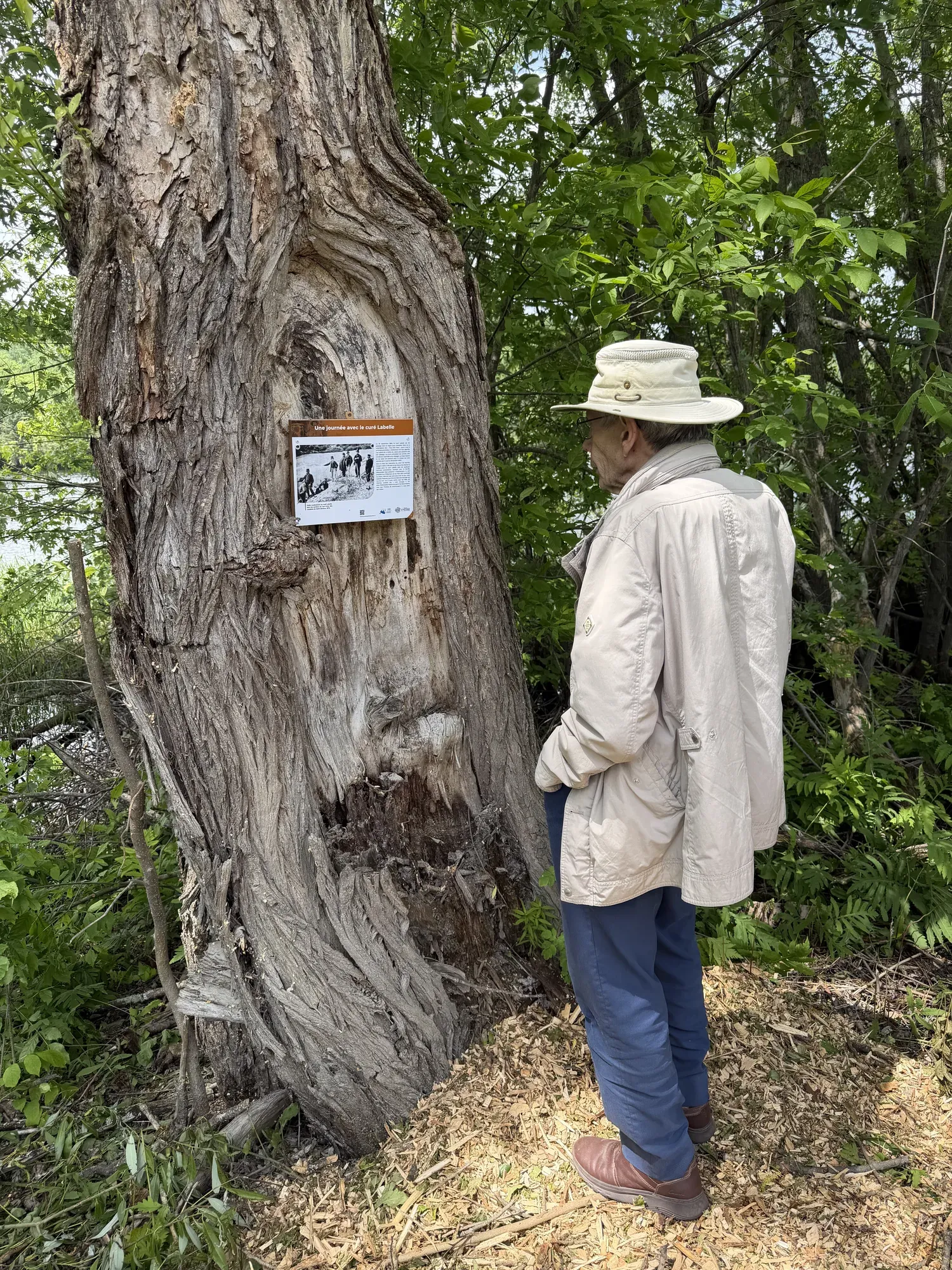 Un visiteur lit un panneau d'interprétation sur le sentier