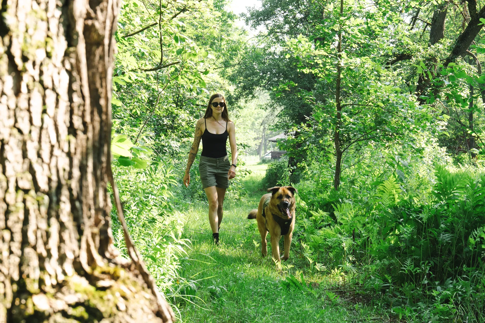Le sentier du parcours en forêt